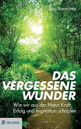 E-Book (epub) Das vergessene Wunder von Jörg Romstötter