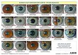 Poster (Non) Konstitutionsorientierte Irisdiagnose von Friedemann Garvelmann