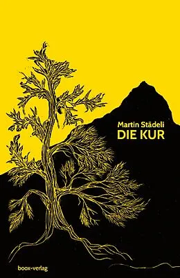 E-Book (epub) Die Kur von Martin Städeli