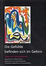 Kartonierter Einband (Kt) DIE GEFÜHLE BEFINDEN SICH IM GEHIRN von 