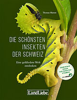 Fester Einband Die schönsten Insekten der Schweiz von Thomas Marent