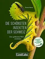 Fester Einband Die schönsten Insekten der Schweiz von Thomas Marent
