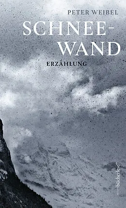E-Book (epub) Schneewand von Peter Weibel