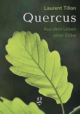 Kartonierter Einband Quercus - Aus dem Leben einer Eiche von Laurent Tillon