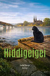 Kartonierter Einband Hiddigeigei von Detlef Bengs