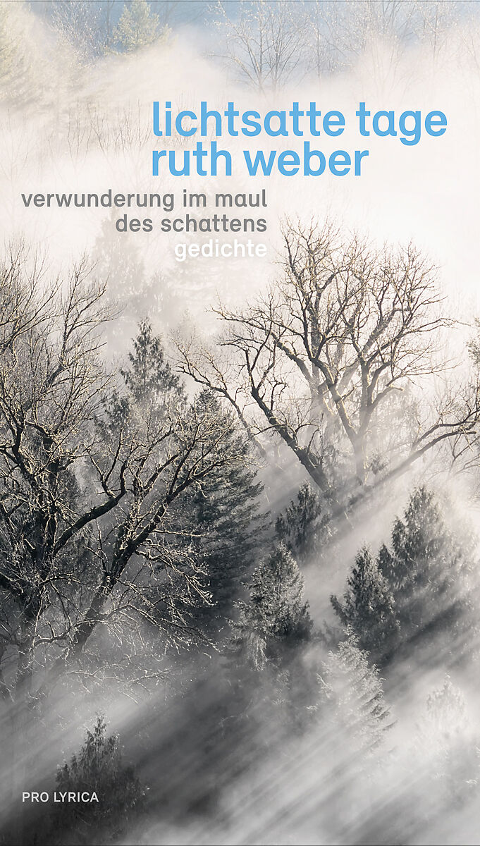 Lichtsatte Tage  Verwunderung im Maul des Schattens