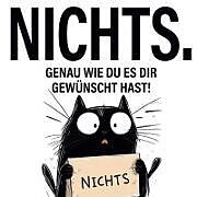 Kartonierter Einband Nichts. genau wie du es dir gewünscht hast! von Max Scherer