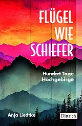 Kartonierter Einband Flügel wie Schiefer von Anja Liedtke
