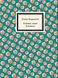 E-Book (epub) Sommer, eines Sommers von Erwin Stegentritt