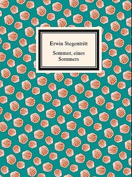 E-Book (epub) Sommer, eines Sommers von Erwin Stegentritt