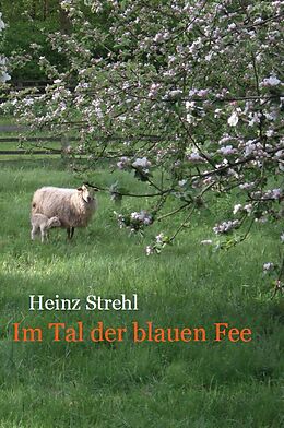 Fester Einband Im Tal der blauen Fee von Heinz Strehl