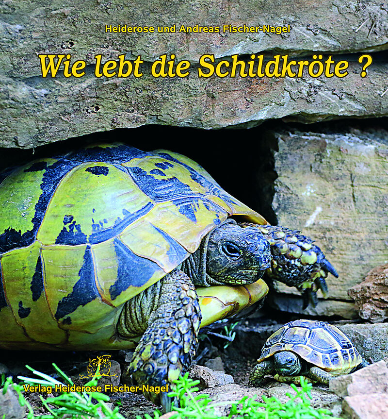 Wie lebt die Schildkröte? - Andreas Fischer-Nagel, Heiderose Fischer-Nagel - Buch kaufen | Ex Libris