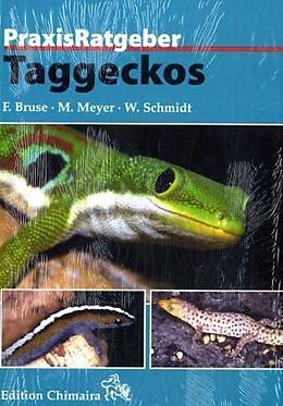 Fester Einband Taggeckos von Frank Bruse, Michael Meyer, Wolfgang Schmidt