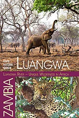 Kartonierter Einband Luangwa River - Unique Wilderness in Africa von Ilona Hupe
