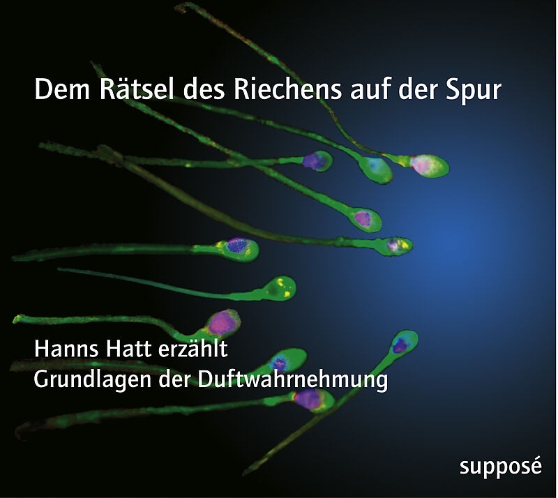 Dem Rätsel des Riechens auf der Spur