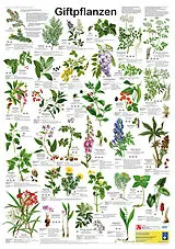Poster (Non) Giftpflanzen von F W Welter-Schultes
