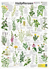 Poster (Non) Heilpflanzen von F W Welter-Schultes