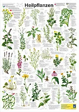 Poster (Non) Heilpflanzen von F W Welter-Schultes