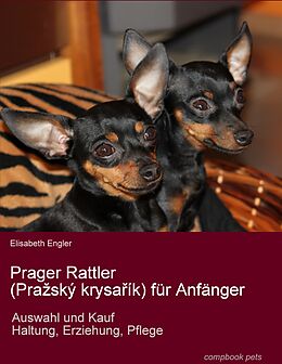 Kartonierter Einband Prager Rattler (Praský krysaík) für Anfänger von Elisabeth Engler