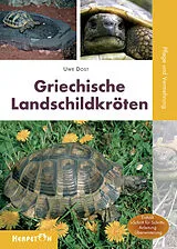 Kartonierter Einband (Kt) Griechische Landschildkröten von Uwe Dost