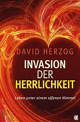 Kartonierter Einband (Kt) Invasion der Herrlichkeit von David Herzog