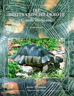 Kartonierter Einband Breitrandschildkröte von Manfred Rogner