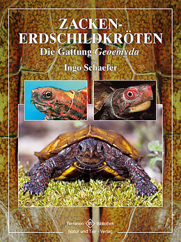Fester Einband Zacken-Erdschildkröten von Ingo Schaefer