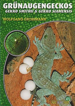 Kartonierter Einband Grünaugengeckos von Wolfgang Grossmann