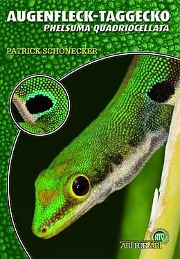 Kartonierter Einband Augenfleck-Taggecko von Patrick Schönecker