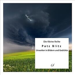Paperback Die Kleine Reihe Bd. 27: Potz Blitz von Götz Gußmann