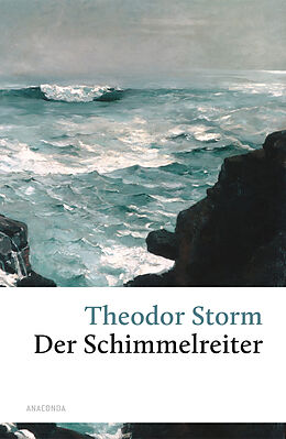 Fester Einband Der Schimmelreiter von Theodor Storm