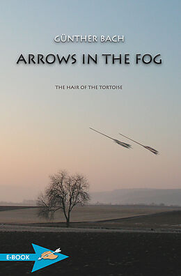 eBook (epub) Arrows In The Fog de Günther Bach