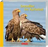 Fester Einband Seeadler im Aufwind von Willi Rolfes