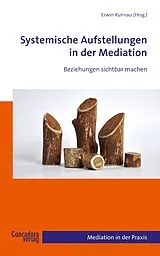 Kartonierter Einband Systemische Aufstellungen in der Mediation von 