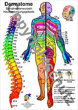 Loseblatt Dermatome - Spinalnervenwurzeln Hautversorgungsgebiete von Tanja Aeckersberg