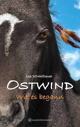 Fester Einband OSTWIND - Wie es begann von Lea Schmidbauer