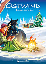 Fester Einband Ostwind - Das Winterwunder von Thilo