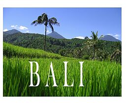 Fester Einband Bali - Ein Bildband von 