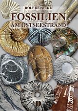 Kartonierter Einband Fossilien am Ostseestrand von Rolf Reinicke