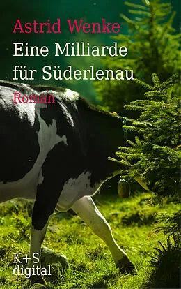 E-Book (epub) Eine Milliarde für Süderlenau von Astrid Wenke