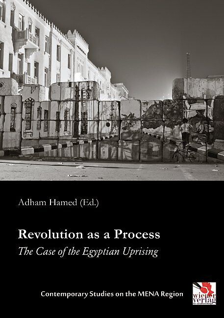 Revolution as a Process