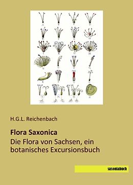 Kartonierter Einband Flora Saxonica von 