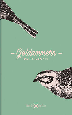 Goldammern