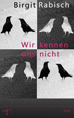 E-Book (epub) Wir kennen uns nicht von Birgit Rabisch
