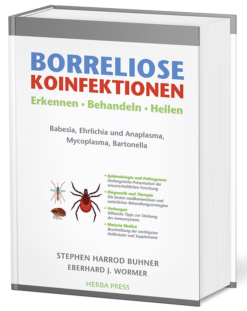 Borreliose Koinfektionen