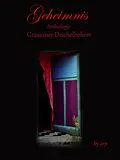 E-Book (epub) Literaturpreis Grassauer Deichelbohrer - Geheimnis von Angeline Bauer