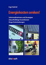 Fester Einband Energiekosten senken! von Ingo Gabriel