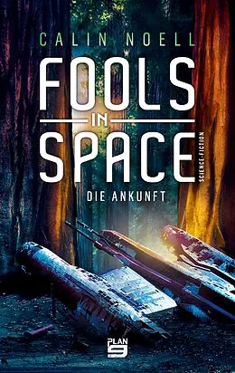 E-Book (epub) Fools in Space von Calin Noell