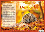 Loseblatt Natur-Kamishibai / Der Igel  Natur-Kamishibai von Andreas Fischer-Nagel, Heiderose Fischer-Nagel