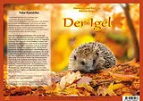 Loseblatt Natur-Kamishibai / Der Igel  Natur-Kamishibai von Andreas Fischer-Nagel, Heiderose Fischer-Nagel